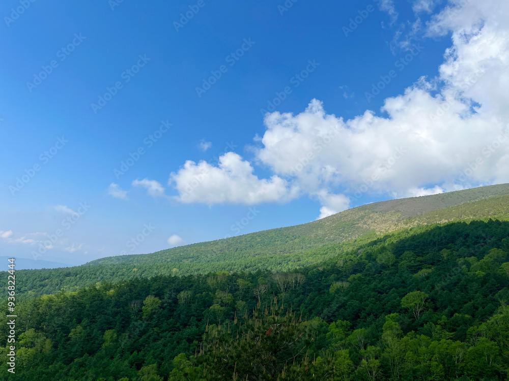 登山道から見る山の景色 登山道から見る山の景色