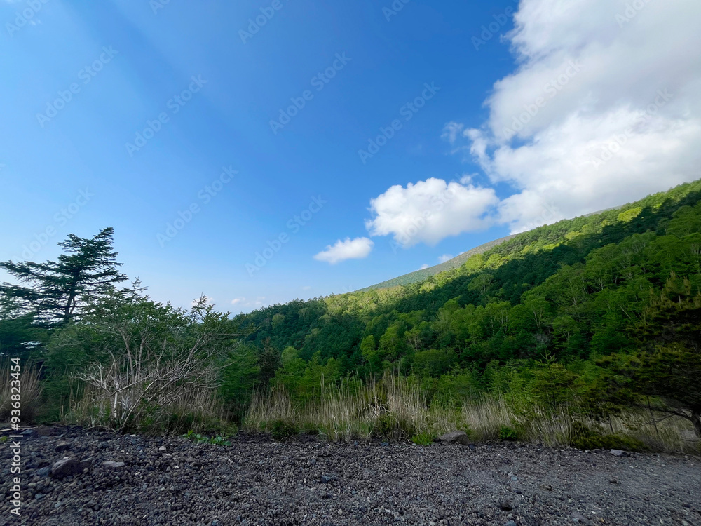 登山道から見る山の景色 登山道から見る山の景色