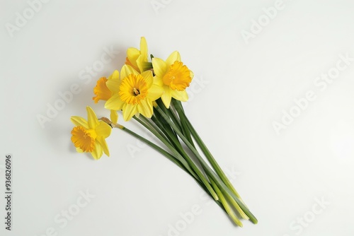 Three stems and flowers of the small-cup daffodil cultivar Pink Rim against a white background. Beautiful simple AI generated image