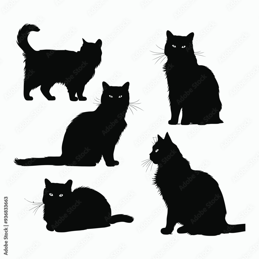 British Shorthair silhouette vector template cat illustration British Shorthair silhouette vector template cat illustration