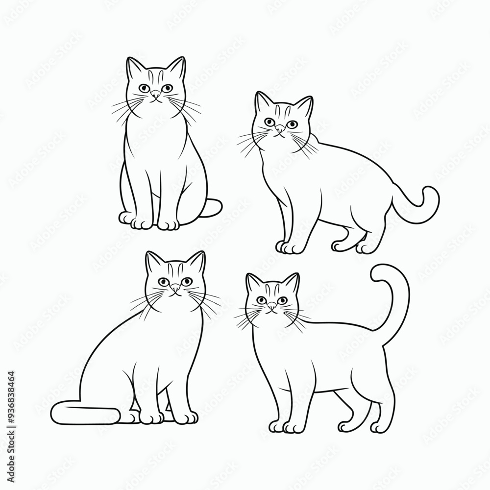 British Shorthair silhouette vector template cat illustration British Shorthair silhouette vector template cat illustration