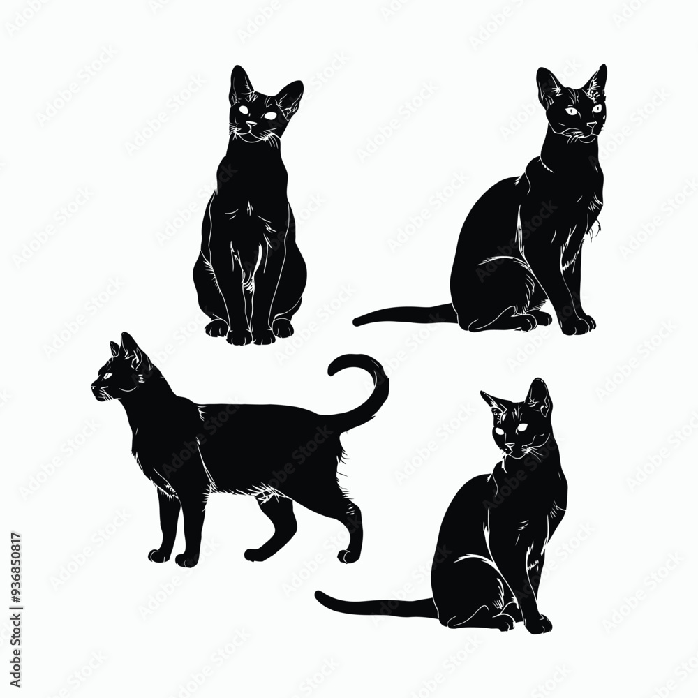 Abyssinian Cat Silhouette Stunning Designs and Vectors Illustration for Cat Lovers