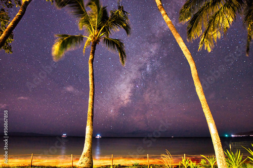 Palm trees and milky way