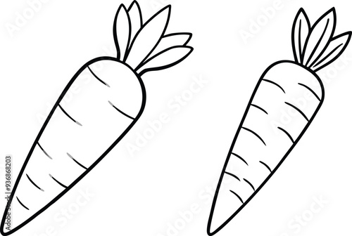 carrot vector illustration on white background 