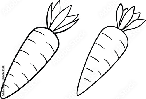 carrot vector illustration on white background 