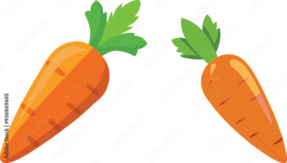 carrot vector illustration on white background carrot vector illustration on white background
