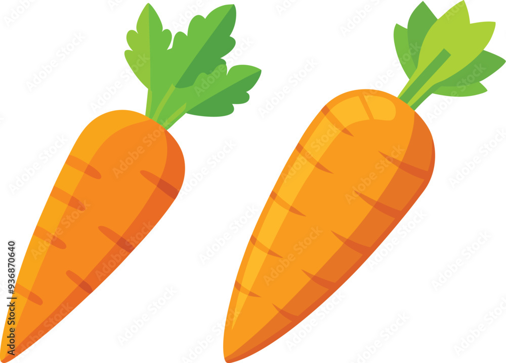 carrot vector illustration on white background carrot vector illustration on white background