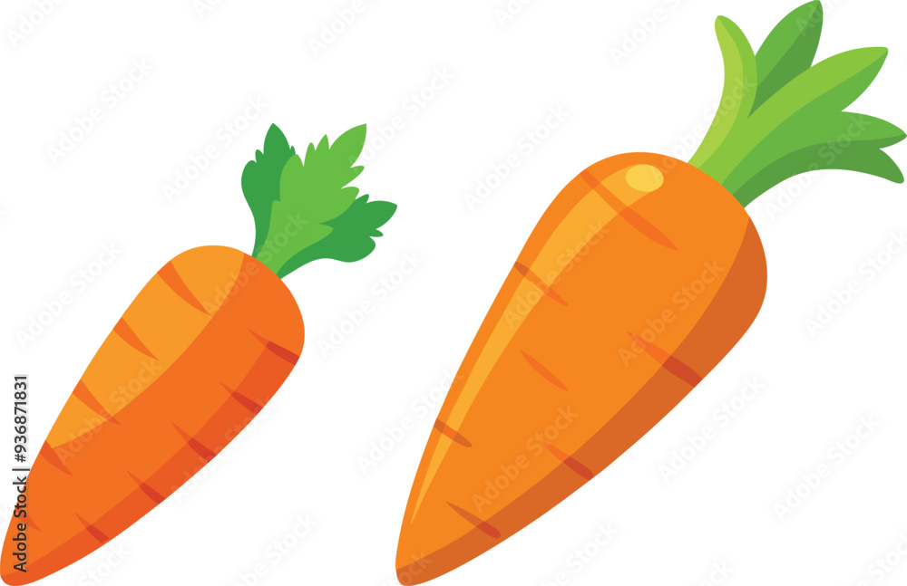 carrot vector illustration on white background carrot vector illustration on white background