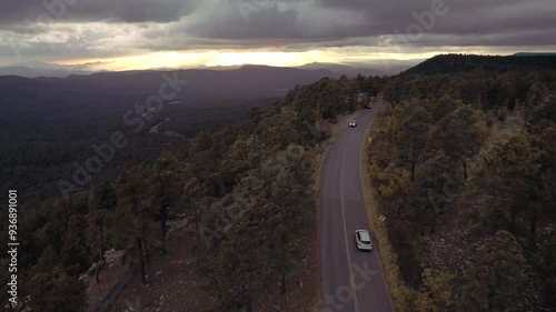 Exploring the Dense Forests of Northern Arizona