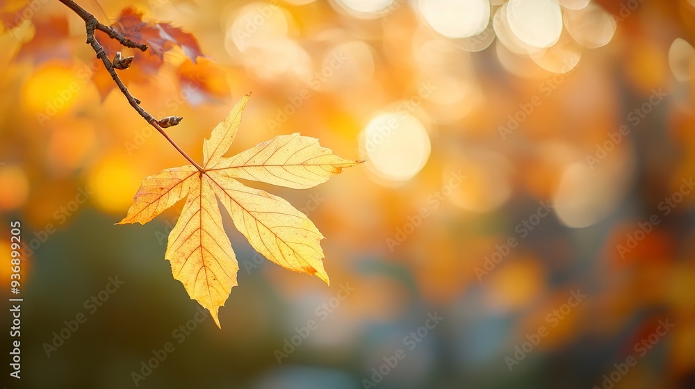 Close-up of a yellow autumn leaf. A bright orange tree changes with a blurred bokeh background. Golden colors in the park on a light, sunny, and warm October day. generative ai Close-up of a yellow autumn leaf. A bright orange tree changes with a blurred bokeh background. Golden colors in the park on a light, sunny, and warm October day. generative ai