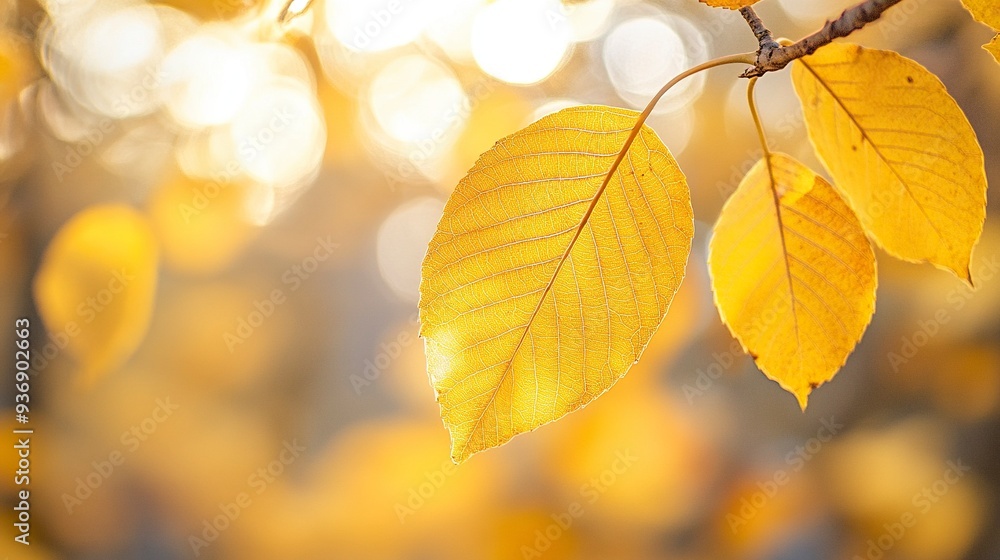 Close-up of a yellow autumn leaf. A bright orange tree changes with a blurred bokeh background. Golden colors in the park on a light, sunny, and warm October day. generative ai Close-up of a yellow autumn leaf. A bright orange tree changes with a blurred bokeh background. Golden colors in the park on a light, sunny, and warm October day. generative ai