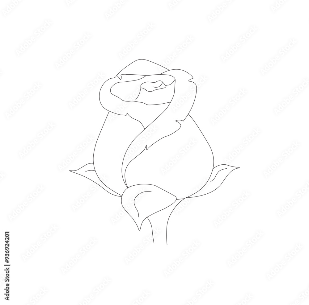 Fototapeta premium Rose drawing easy outline vector design.