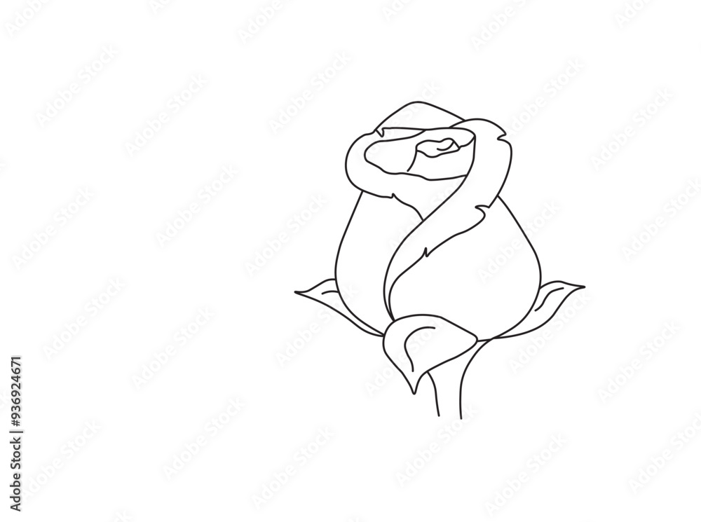 Obraz premium Rose drawing easy outline vector design.