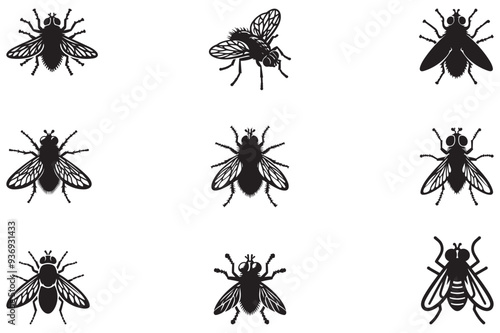 Icon of an insect fly silhouette. A black vector of a housefly on a white background.