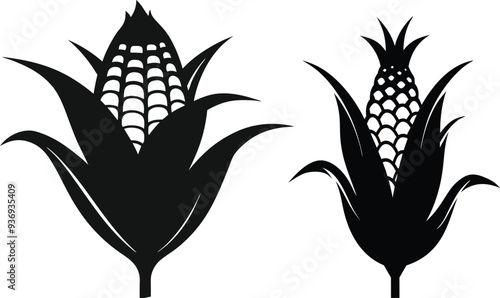 Corn  silhouette illustration white background 