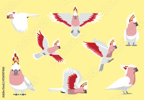 Major Mitchell's Cockatoo Bird Pink Parrot Various Poses Vector Illustration