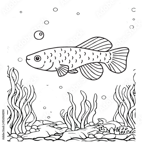 Fish Coloring page for baby coloring book, vector Illustration seawater cute fishes activity worksheet for children.
