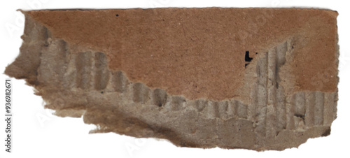 small piece of torn ripped cardboard element