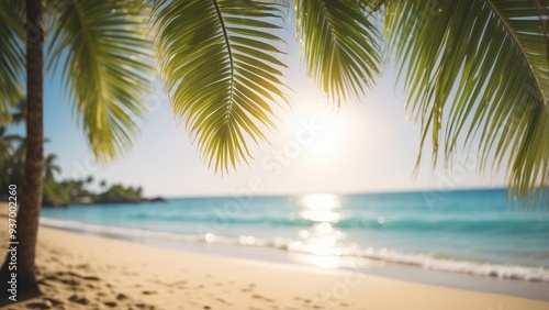 Palm Tree Leaves Framing a Beach Scene