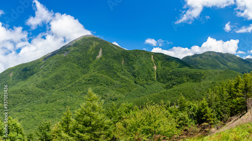 絶景の八子ヶ峰トレッキング　北八ヶ岳　蓼科山と北横岳遠景　長野県　日本 photo