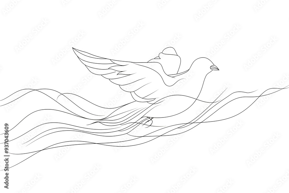 hand drawn illustration of a bird hand drawn illustration of a bird