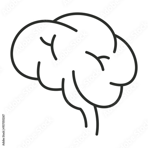 Brain outline icon, showing anatomy outline icon, minimalist vector illustration and transparent graphic element. Isolated on white background