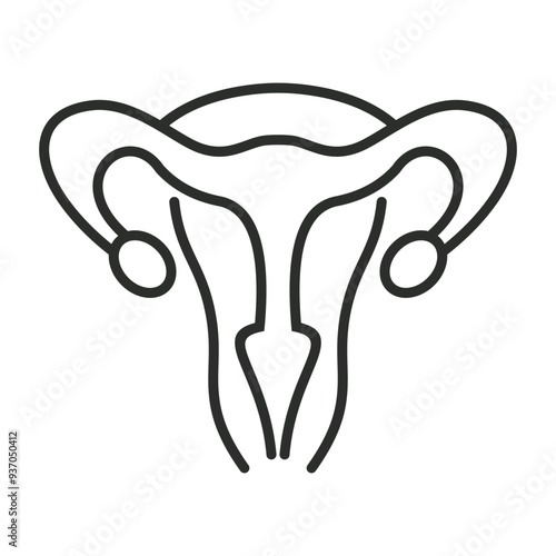 Uterus outline icon, showing anatomy outline icon, minimalist vector illustration and transparent graphic element. Isolated on white background