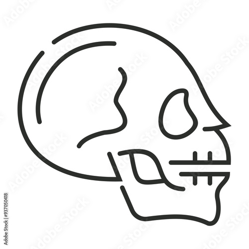 Skull outline icon, showing anatomy outline icon, minimalist vector illustration and transparent graphic element. Isolated on white background