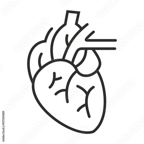 Heart outline icon, showing anatomy outline icon, minimalist vector illustration and transparent graphic element. Isolated on white background