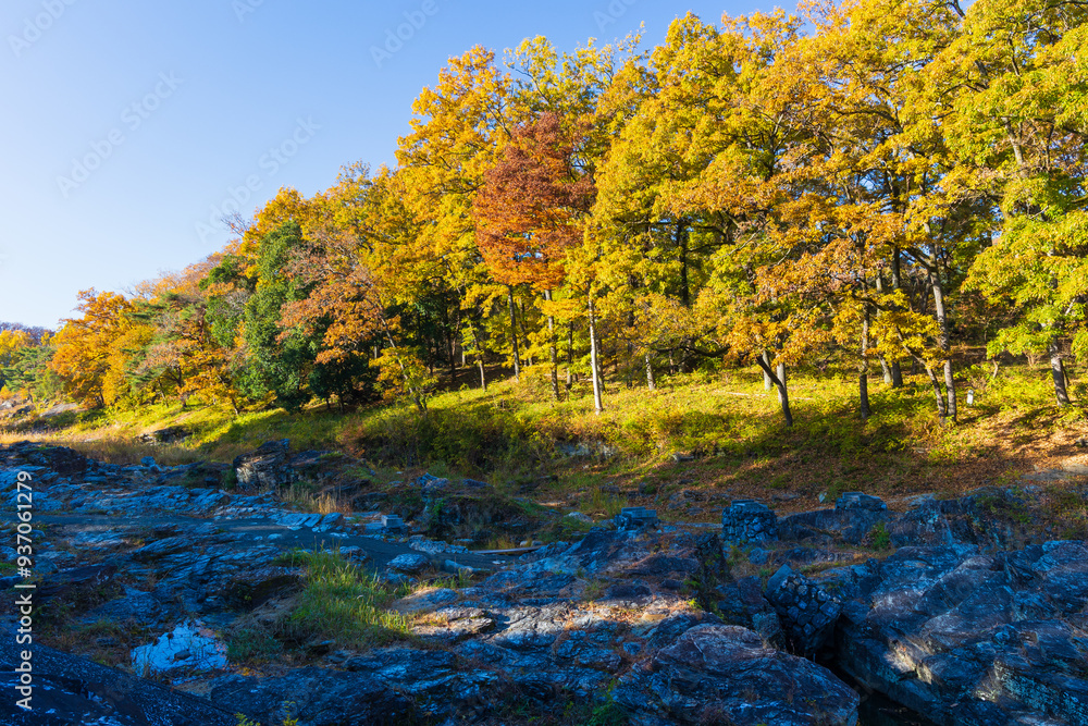 日本の風景・秋 埼玉県長瀞町 紅葉の秩父長瀞 蓬莱島 日本の風景・秋 埼玉県長瀞町 紅葉の秩父長瀞 蓬莱島