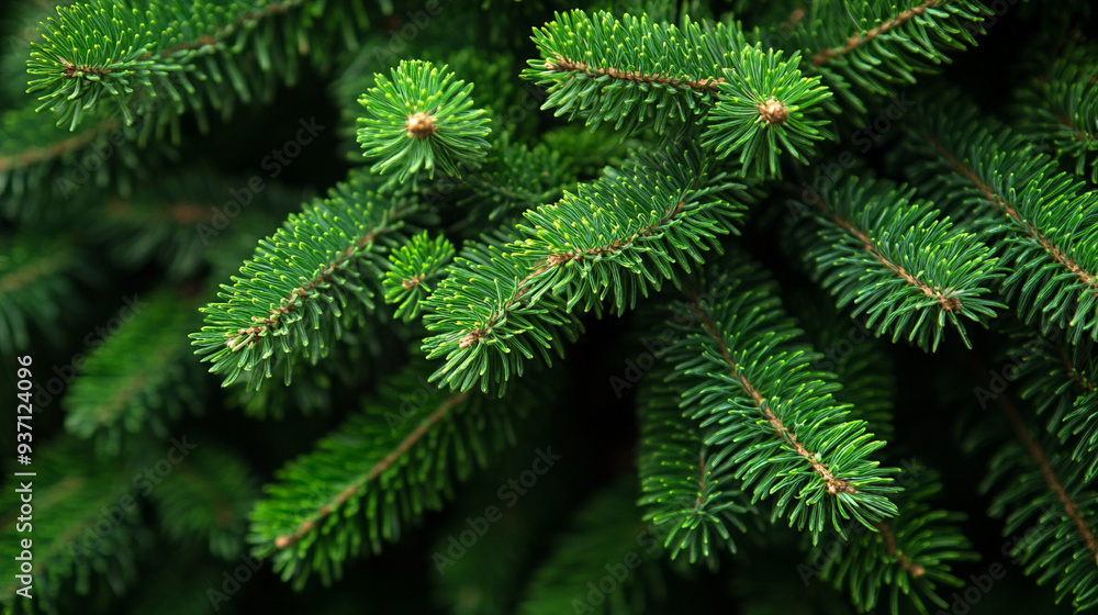 Christmas tree fir branch with soft festive lighting, creating a seamless, cheerful background for holiday decorations and seasonal celebrations Christmas tree fir branch with soft festive lighting, creating a seamless, cheerful background for holiday decorations and seasonal celebrations