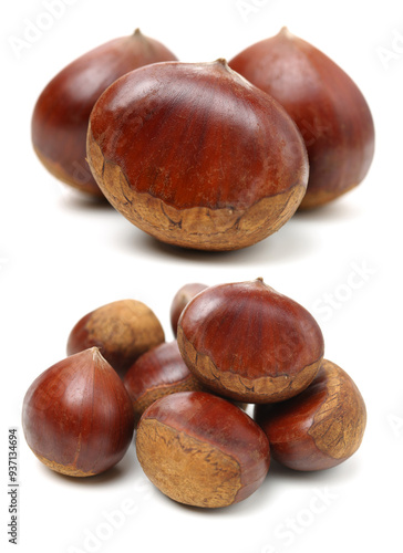 chestnut on a white background