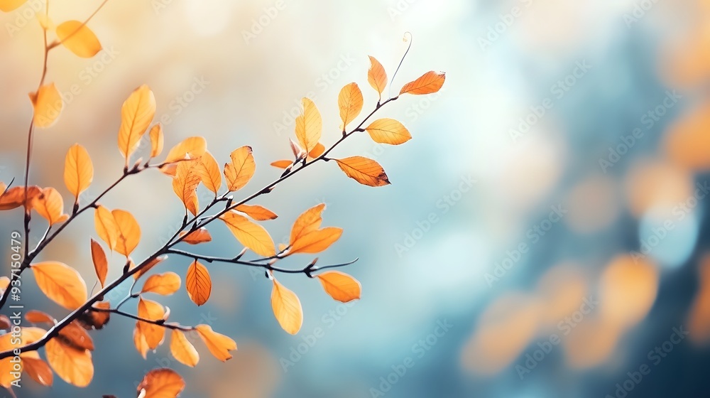 Abstract Autumn Nature Wallpaper: Blurred Leaves, Golden Foliage, Blue Sky Banner Template Abstract Autumn Nature Wallpaper: Blurred Leaves, Golden Foliage, Blue Sky Banner Template