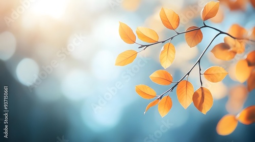 Abstract Autumn Nature Wallpaper: Blurred Leaves, Golden Foliage, Blue Sky Banner Template