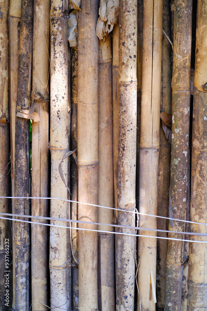 Dried bamboo stems stacked vertically and leaning against a jackfruit tree. Construction materials on the roadside. Construction Industry. Arts and crafts. Textured Background Photography Concepts Dried bamboo stems stacked vertically and leaning against a jackfruit tree. Construction materials on the roadside. Construction Industry. Arts and crafts. Textured Background Photography Concepts