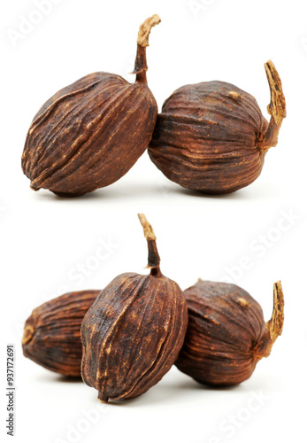 Black cardamom on a white background  photo