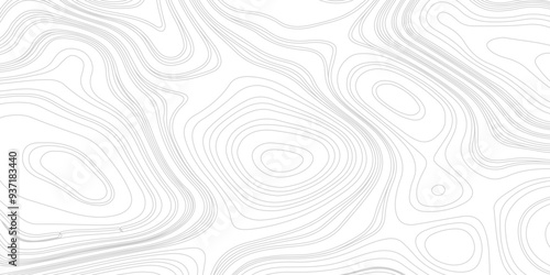 geography scheme and the terrain path. Ultra wide. Map on land terrain Illustration, The black on white contours topography stylized height of the lines.