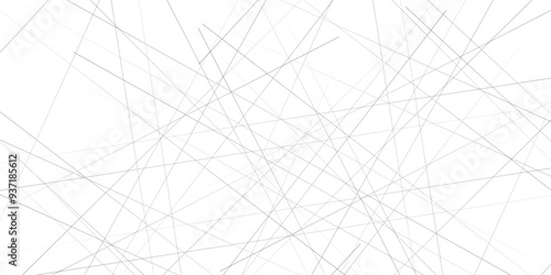 Metal grid isolated on the white background. nervures de , fond rectangle and geometric,  Abstract lines in black and white tone of many squares and rectangle shapes on white background.