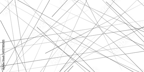 Metal grid isolated on the white background. nervures de , fond rectangle and geometric,  Abstract lines in black and white tone of many squares and rectangle shapes on white background.