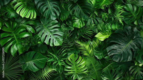 A lush arrangement of various green leaves creating a vibrant natural backdrop.