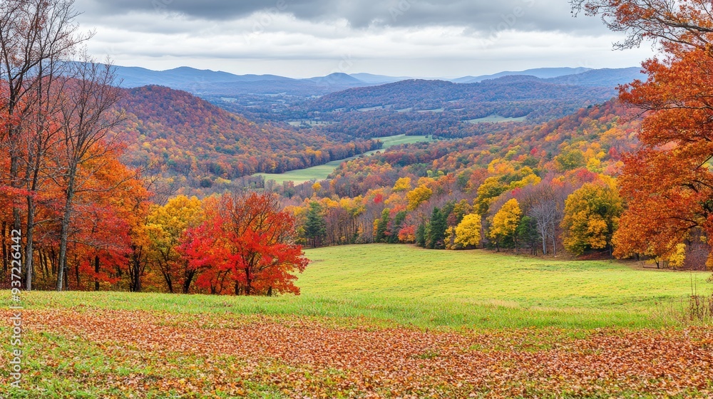A picturesque autumn landscape showcasing vibrant foliage and rolling hills under a cloudy sky. A picturesque autumn landscape showcasing vibrant foliage and rolling hills under a cloudy sky.