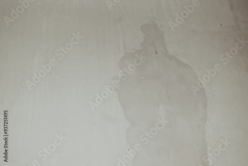 Quadro su tela The wall surface is damp