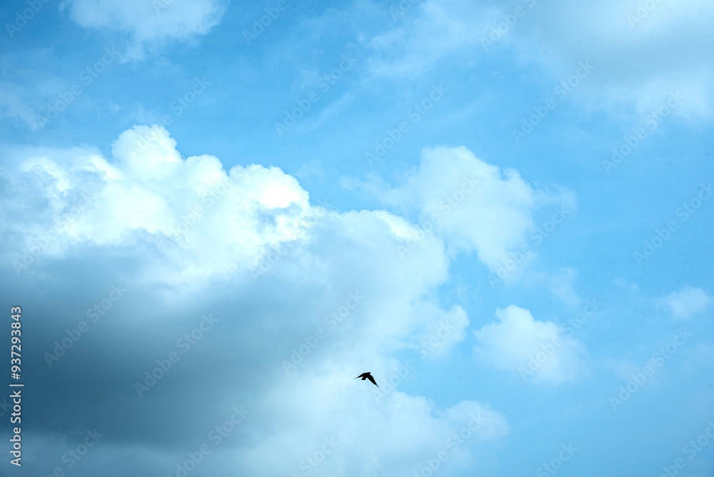 Summer blue sky cloud gradient light white background. Beauty clear cloudy in sunshine calm bright winter air bacground. Gloomy vivid cyan landscape in environment day horizon skyline view spring wind Summer blue sky cloud gradient light white background. Beauty clear cloudy in sunshine calm bright winter air bacground. Gloomy vivid cyan landscape in environment day horizon skyline view spring wind
