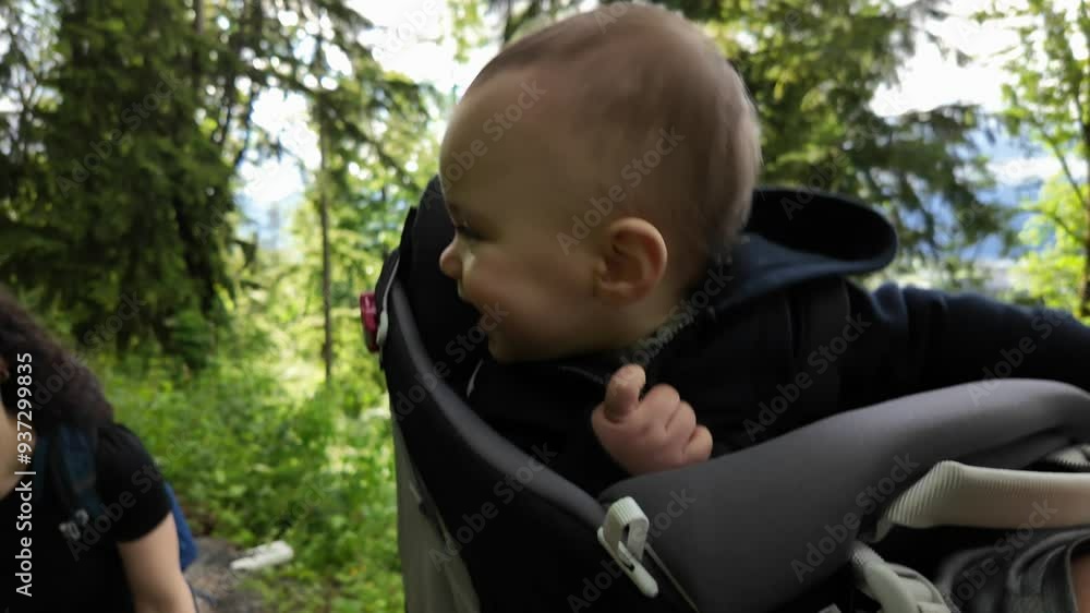 A happy baby boy enjoys a hike in the forest while riding in a hiking carrier on his dad's back. Mom hikes along side. Chilliwack, British Columbia, Canada. A happy baby boy enjoys a hike in the forest while riding in a hiking carrier on his dad's back. Mom hikes along side. Chilliwack, British Columbia, Canada.