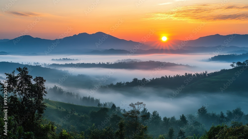 Obraz premium Scenic countryside with mist and sunrise, Monday morning, calm and refreshing.