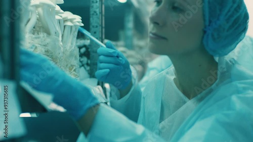 Two lab technicians checking mushrooms