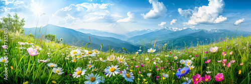 Spring green meadow with wild flowers, glass field with flowers in blue sky with cloud background for template and banner.