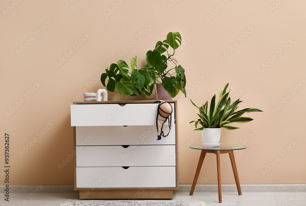 Chest of drawers with bra and plants near beige wall in room Chest of drawers with bra and plants near beige wall in room