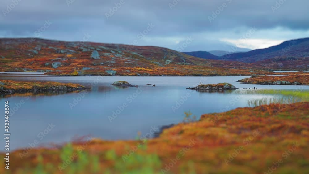 A shallow lake in the autumn tundra surrounded by the colourful autumn landscape. Heavy clouds cover the sky. Parallax video. A shallow lake in the autumn tundra surrounded by the colourful autumn landscape. Heavy clouds cover the sky. Parallax video.
