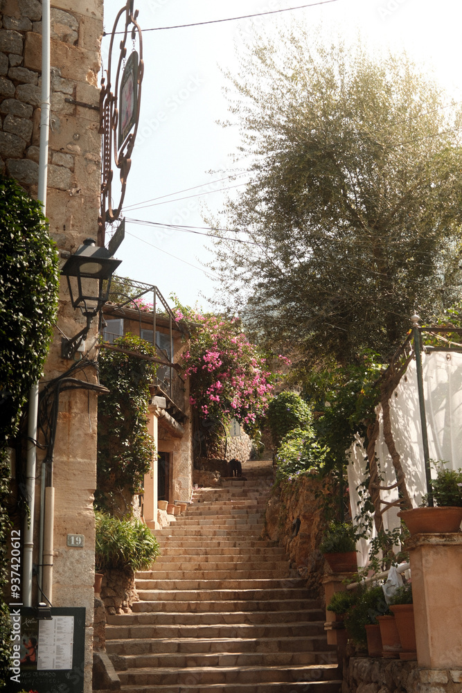 Fototapeta premium street in the town of island country
